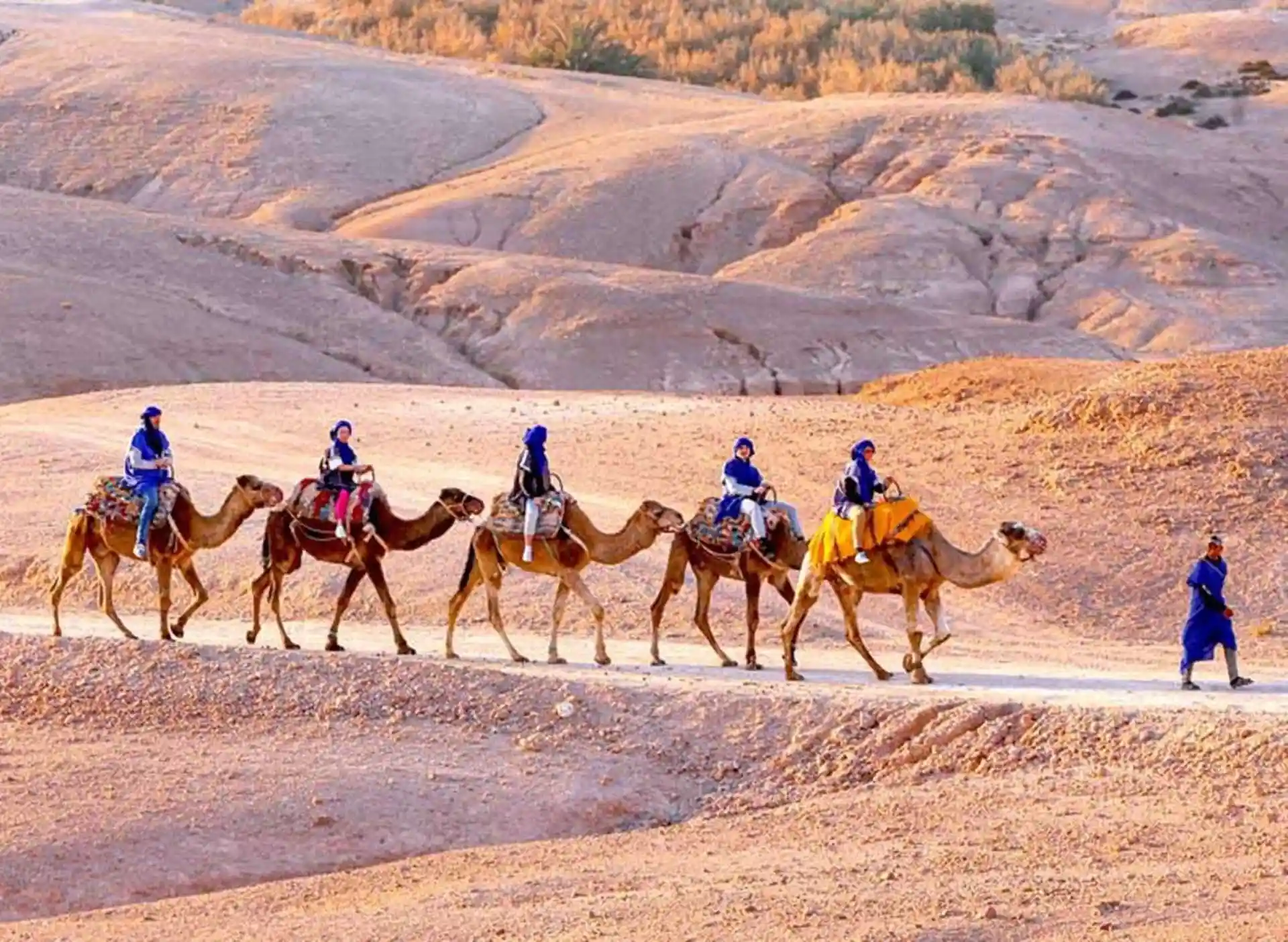 Camel Ride at sunset in the Palmeraie, Marrakech